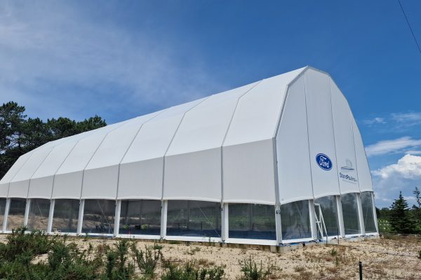 GOLDEN OVAR 3.-1jpg GOLDEN OVAR 3.-1jpg